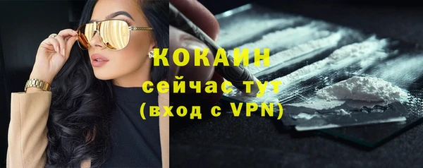 PSILOCYBIN Майский