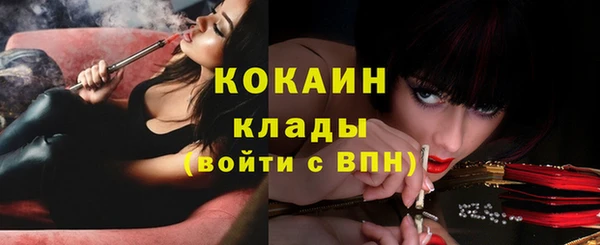 PSILOCYBIN Майский