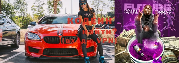 индика Лиски
