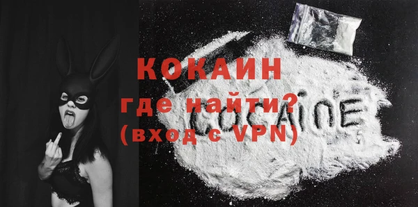 хмурый Магас