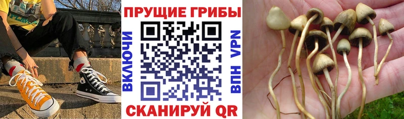 Галлюциногенные грибы Magic Shrooms  наркота  Нижняя Тура 